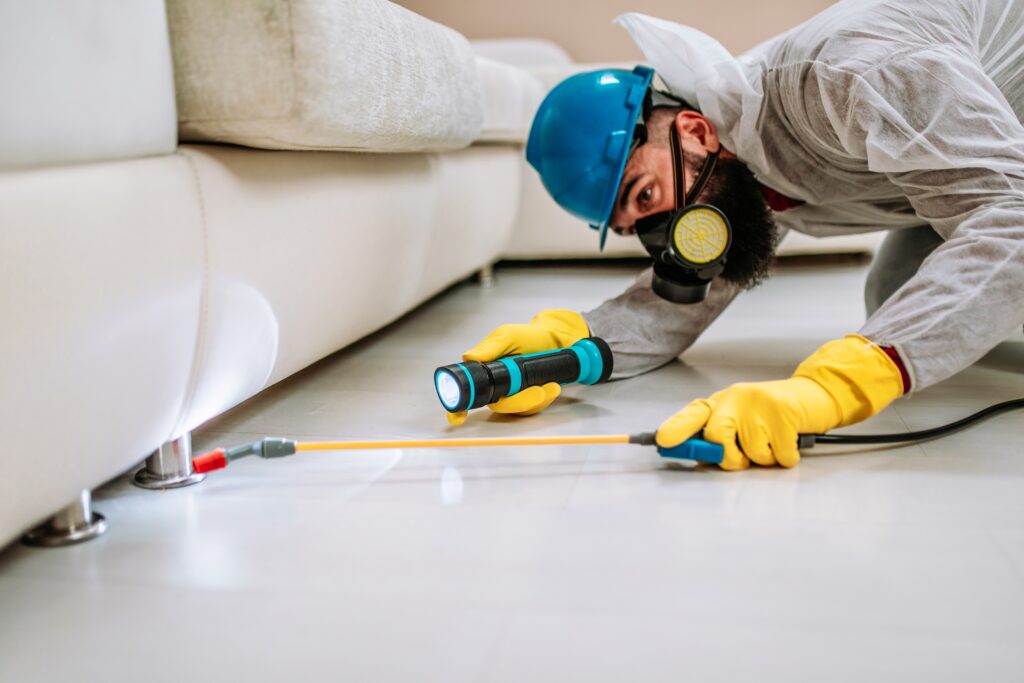 Fountain Valley Termite Control