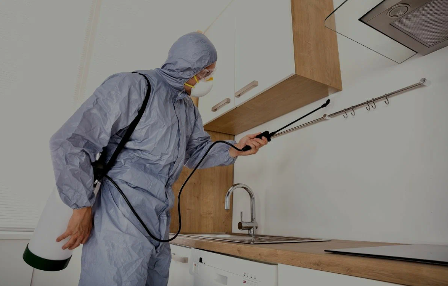 Fountain Valley pest managment